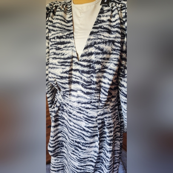 Zebra Print Dress - Picture 2 of 6